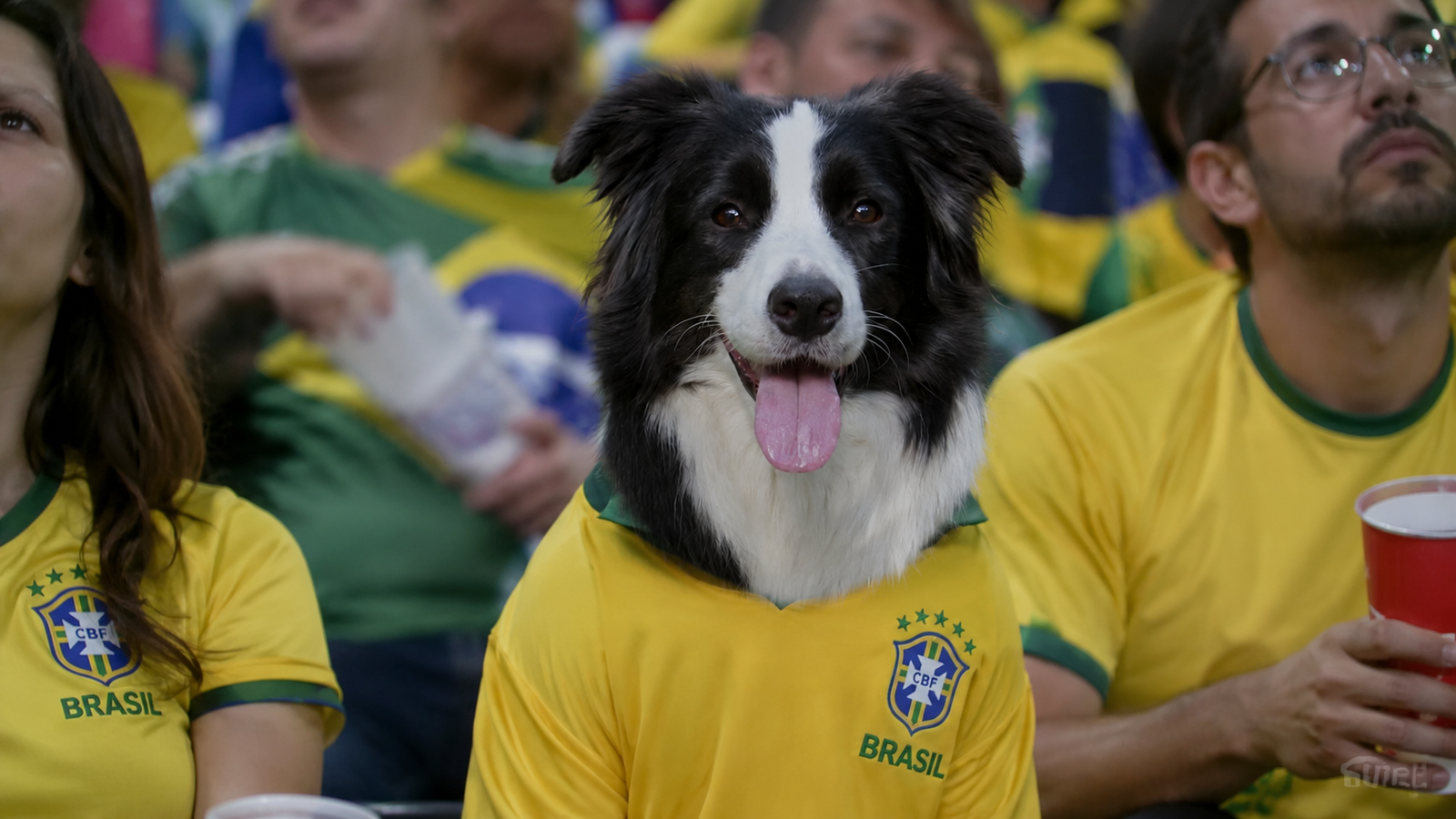 Trend do torcedor na arquibancada